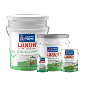 SW Loxon LD Cielorraso MATE 4/10/20lts