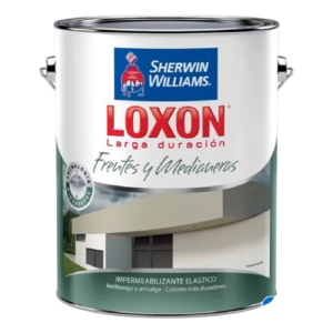 SW Loxon LD Frentes y Medianeras Colores 20 lts